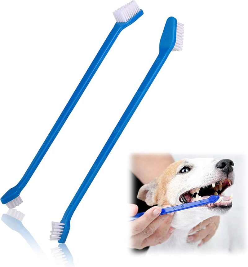 ZOOOP 2 in 1 toothbrush